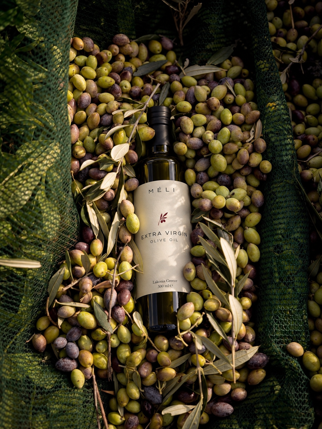 MÉLI bottle resting among freshly harvested olives